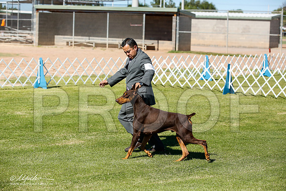 _JN_5973-AlamogordoOct2014-HR3