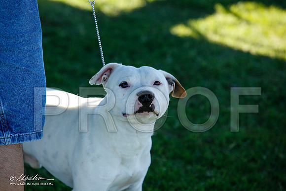 _JN_4390-AlamogordoOct2014-HR3