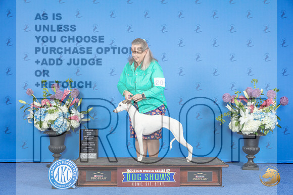 Whippet #20 SUN WB BOW M Judge Jamie Hubbard__JP_0010_Houston_2024_HR3