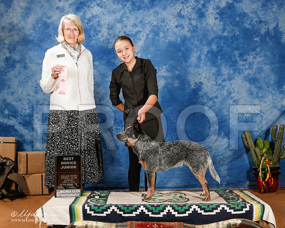_ST_1575-2-GlenRoseJan2015-HR3