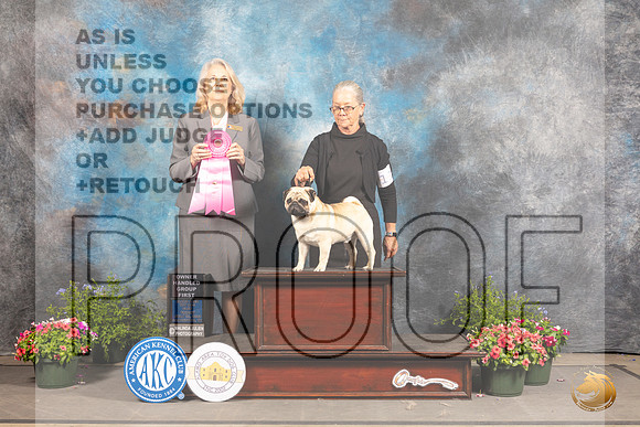 Pug #11 Fri OHG1 Judge Pamela Wilson_MJ_0021_SA_2022_HR3