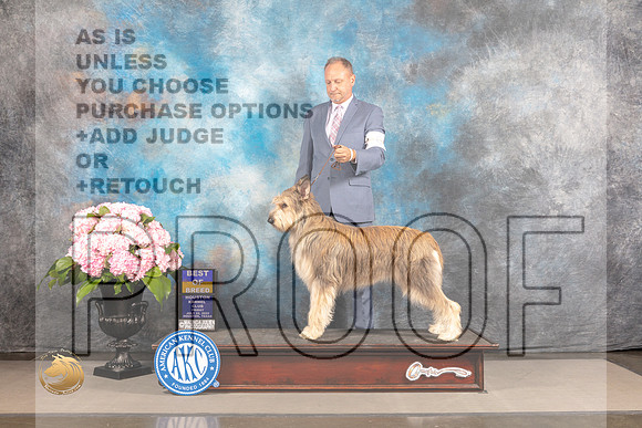 Berger Picard #6 FRI BOB Judge Polly Smith_MJ_5165_Houston_2022_HR3