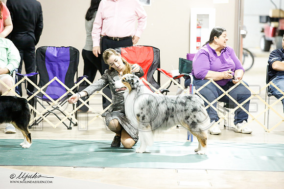 _JJ_6826-ASCACollegeStationNov2014-HR3
