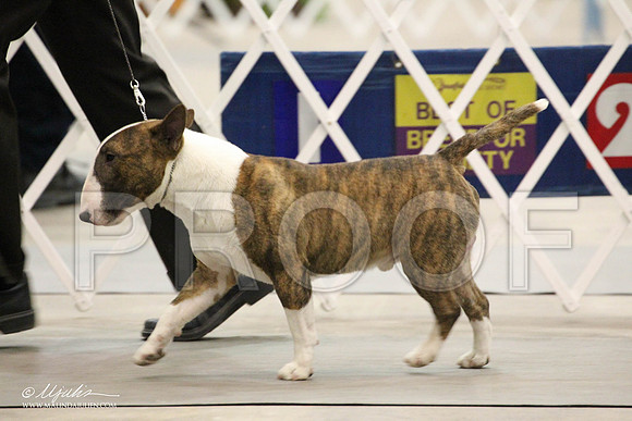 IMG_7960-Abilene2011-HR3