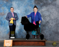 Catherine Nelson UDOG Longview TX Jan 31 - Feb 2 2025