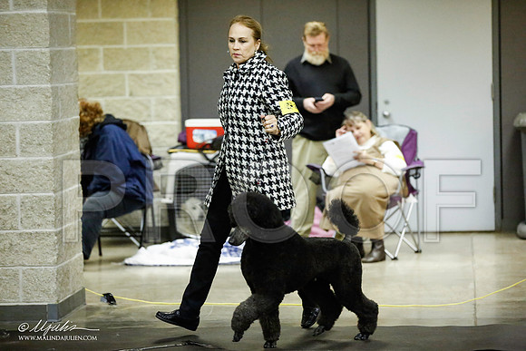 _JJ_5649-BeltonJan2015IABCA-HR3