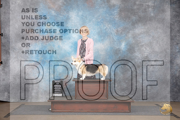 Pembroke Welsh Corgi #388 Sat BOB Judge Jennifer Landers__JP_2698_LongviewTX_2024_HR3