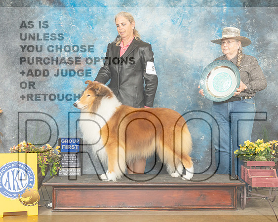 Collie Rough #9 Sun G1 Judge Laurie Telfair-MMJ_1656-NWARK2022-HR3