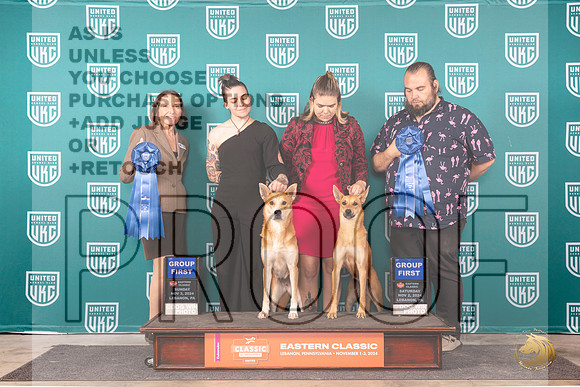 Carolina Dog #244 !97 G1 G1__JP_2380_UKCEastern_2024_HR3