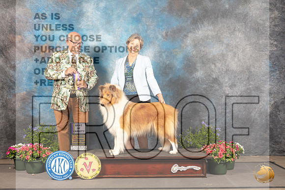 Collie Rough #14 Thur BOVNCh Judge Michael Canalizo_MJ_0064_SA_2022_HR3