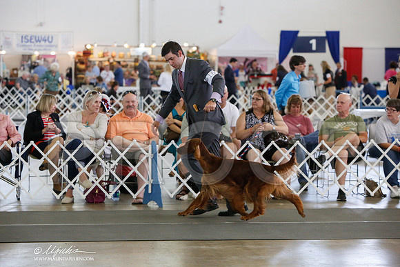 _JJ_1298-DallasJul2014-HR3