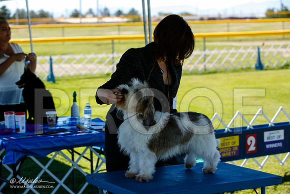 _JN_5176-AlamogordoOct2014-HR3