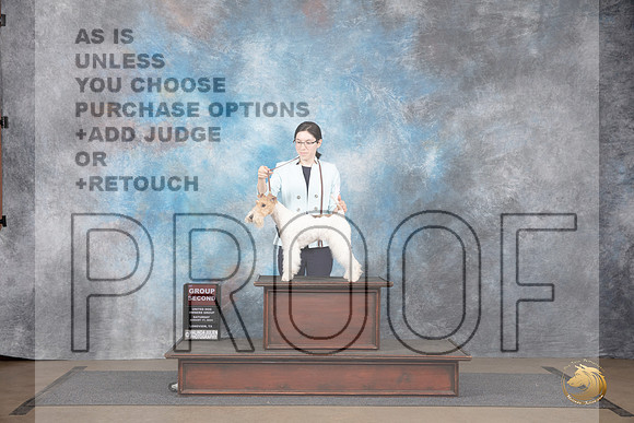 Wire Fox Terrier #254 Sat G2 Judge Brenda Landers__JP_2673_LongviewTX_2024_HR3