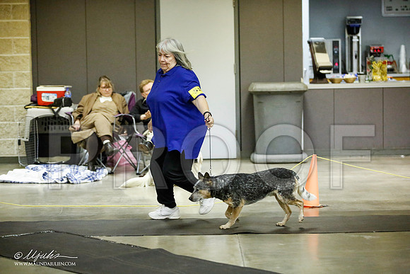 _JJ_6061-BeltonJan2015IABCA-HR3