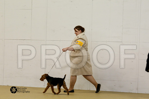 WelshT-9449-HtoJan2014-HR3