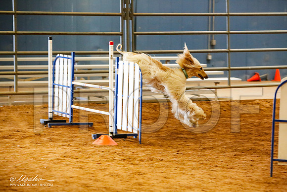 _MJ_2257-AfgBeltonOct2014-HR3