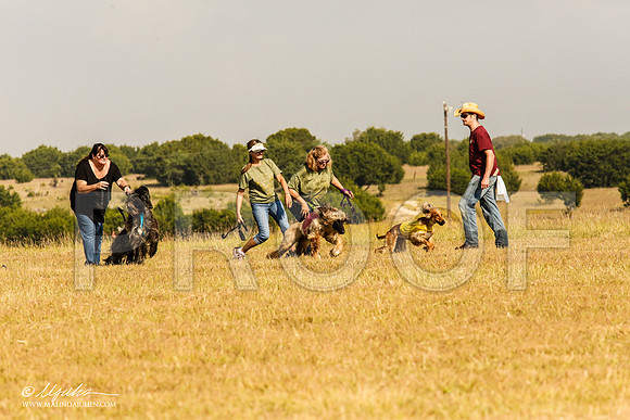 _MJ_3989-AfgBeltonOct2014-HR3