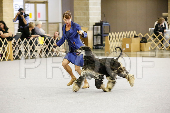 _JJ_4880-AfgNtlBltnOct2014-HR3