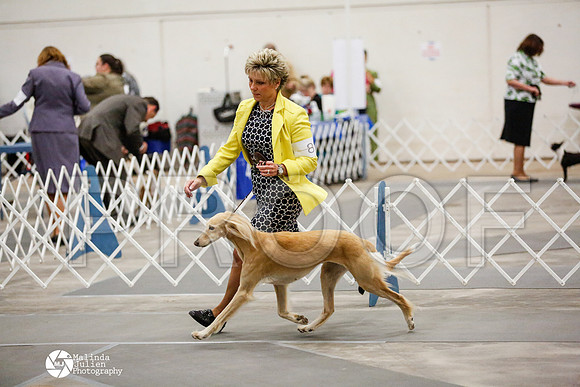 _RH_1730-AblnMay2014-web