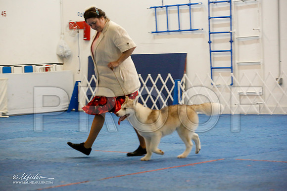_M3_9343-AddisonHuskyMar2015-HR3