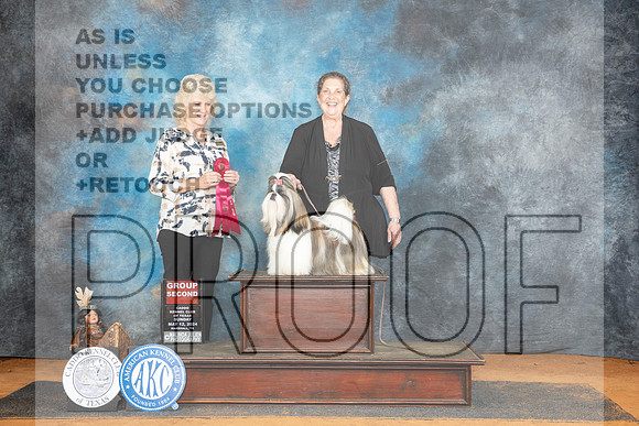 Shih Tzu #8 Sun G2 Judge Lisa Graser__JP_8758_MARSHALL_2024_HR3