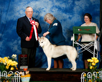 #28 Sun BOS Kendra Ireton Wolf Warren  Judge Dr Donald Gill