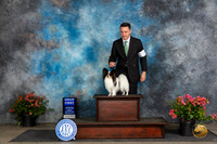 Papillion #23 Fri G1 Judge Azalea Alvarez