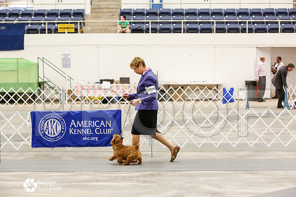 _CK_8801-AblnMay2014-web