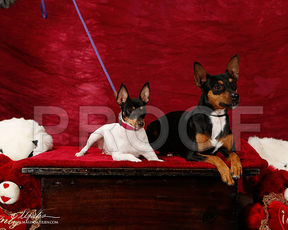 _ST_2114-2-BeltonJan2015-HR3