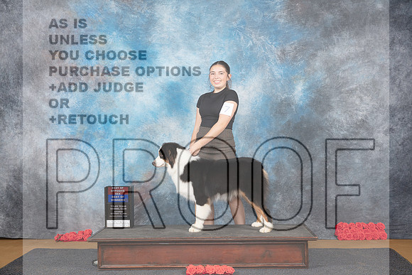 Australian Shepherd #7 Sat BOWBOS Judge Pat Trotter__JP_9991_Sulphur Springs_2024_HR3