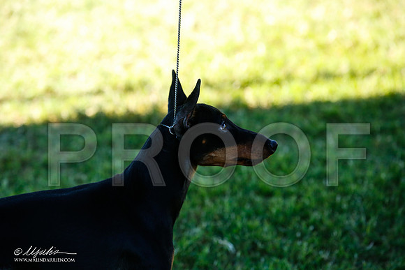 _JN_4807-AlamogordoOct2014-HR3