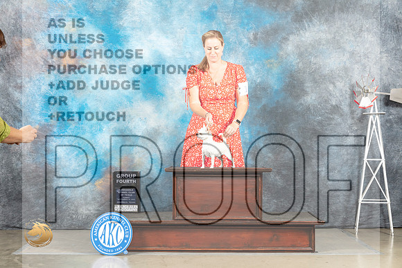 Chihuahua Smooth #10 Sun G4 Judge Sharron Derrick_MJ_5039_Amarillo_2022_HR3