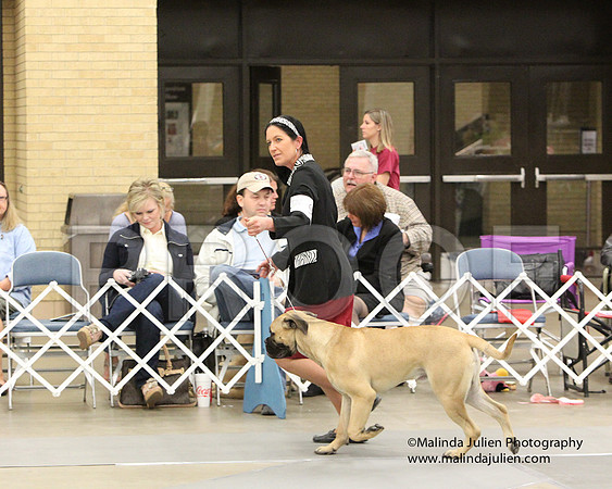 6-9Pup-7847