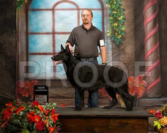 _ST_7070-NrmnNov2014-HR3