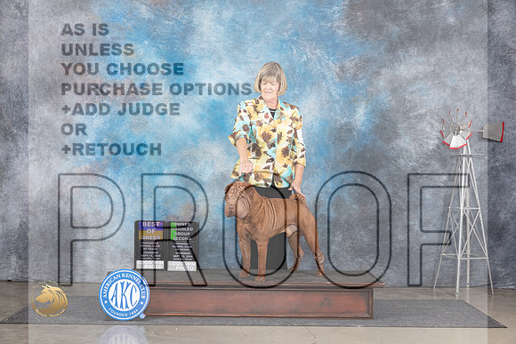 Shar Pei #5 Thurs BOBOHG2 Judge Pat Trotter__JP_4984_Amarillo_2024_HR3