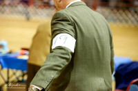 Collie Ring Fri BBX Dog