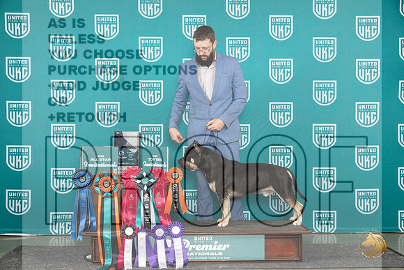 American Bully #825 Sun card__JP_3328_Premier_2024_HR3