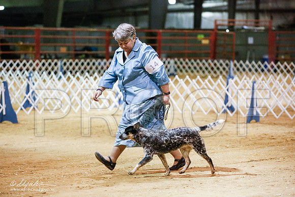_JN_4672-2-GlenRoseJan2015-HR3