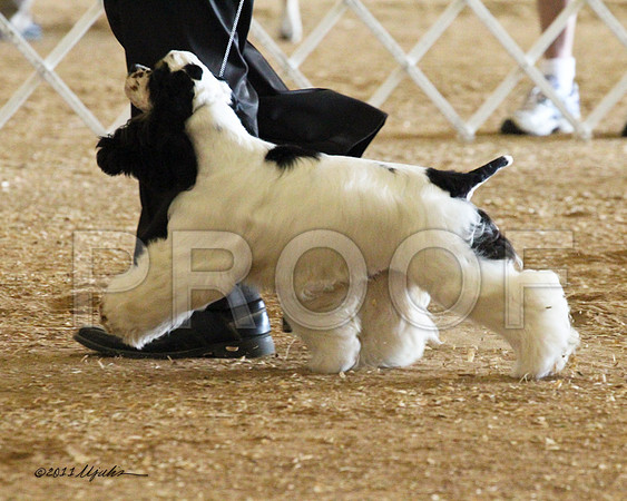 CkrParti-0331