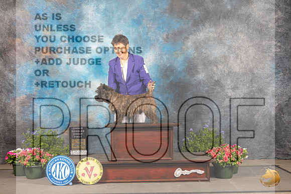 Cairn Terrier #5 Thu OHG1 Judge Anne Bolus_MJ_0016_SA_2022_HR3