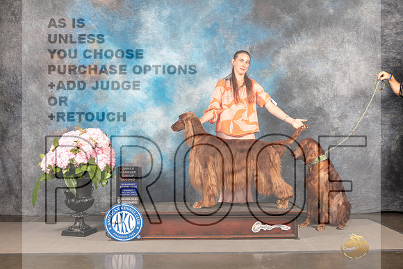 Irish Setter #12 Sun OHG2 Judge Steven Keating_MJ_8433_Houston_2022_HR3