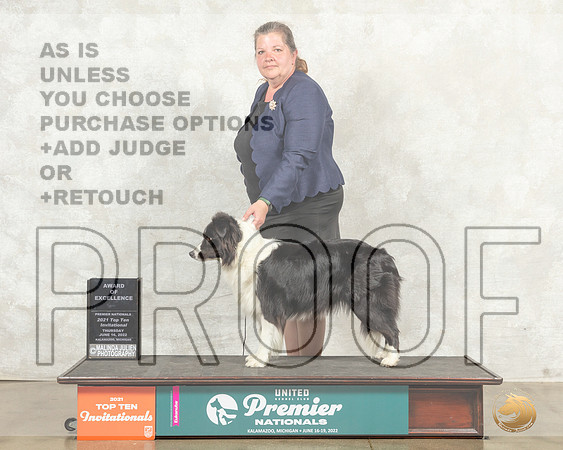Border Collie #757 Thurs Top10AOE Judge Sandra Kowalski__MJ_8588_Premier_2022_HR3