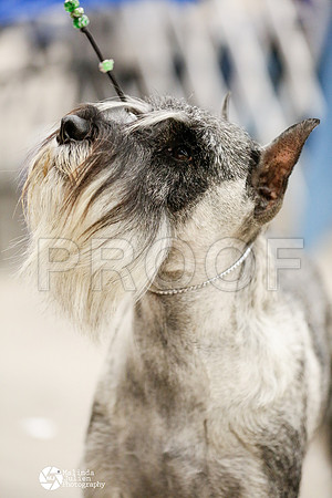 _RH_2069-AblnMay2014-web