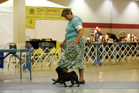 _JJ_8562-AmarilloSept2014-HR3