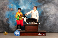 Cardigan Welsh Corgi #9 WED AOM Judge Barbara Alderman