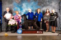 Afghan Hound #15 FRI BIS Judge Polly Smith