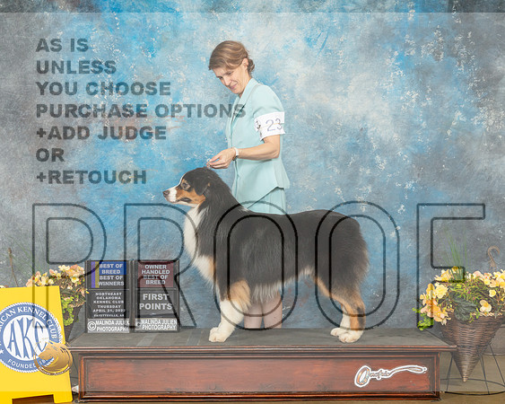 Australian Shepherd #23 Thurs BOBOHBOBBOW Judge John Wade-MMJ_8624-NWARK2022-HR3