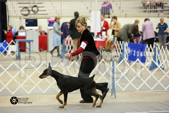 dobe-4884-MidFeb14-HR