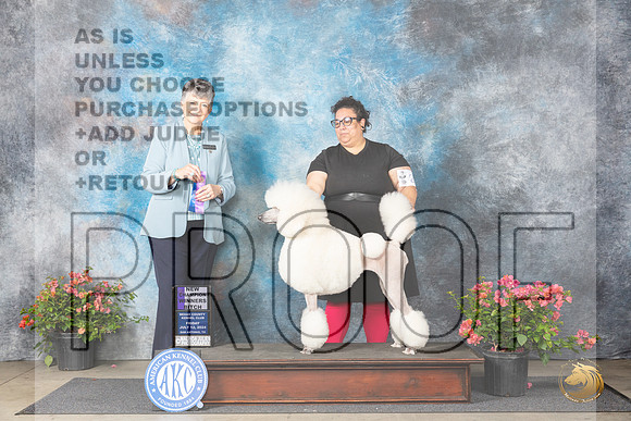 Standard Poodle #26 Fri WBCH Judge Christie Martinez __JP_4027_San Antonio_2024_HR3