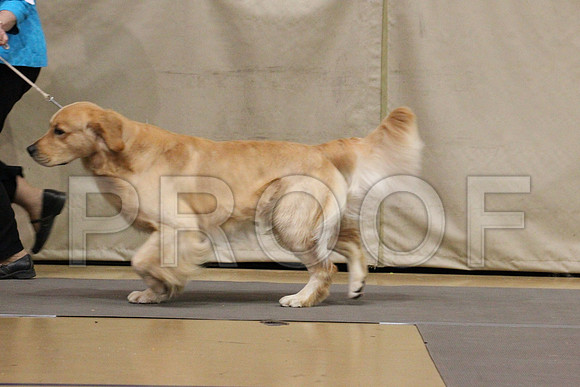 MJS_0225